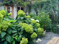 -Jo's Garden
