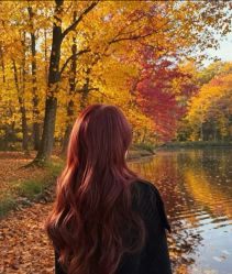 -镁连社·美联社