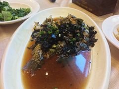 -桐庐海博大酒店中餐厅