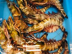 -ZF Seafood Restaurant 卓峰海鲜餐