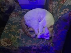 -星宿秘码(鼓浪屿老店)