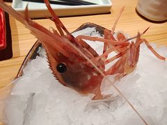 -花和海鲜自助(梅江店)