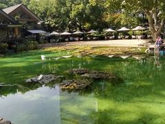 -静安公园(静安寺街道)