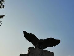 -北京鹫峰国家森林公园