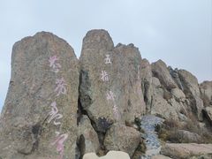 -白草畔自然风景区