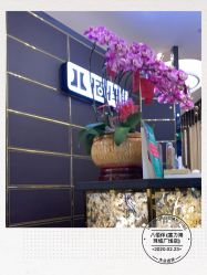 -八佰伴8008星级形象店