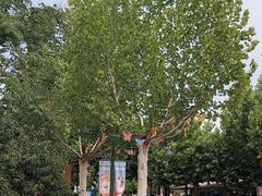 -郑州方特梦幻王国