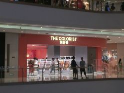 -THE COLORIST调色师