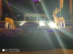 -红宝石·鲜奶小方(曲阳店)