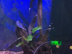 -沙沙哗啦海洋馆(华宇百花谷店)