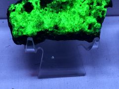 -湖南省地质博物馆