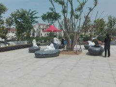 -建华生态湿地百荷园