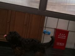 -VESH COFFEE(定西路店)