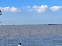 -上海滨江森林公园