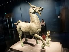 -广西壮族自治区博物馆