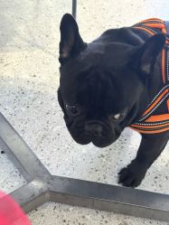 -米莱摄影写真(五大道别墅店)