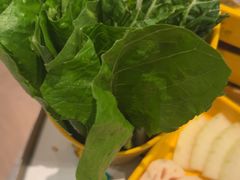 -润园四季椰子鸡火锅(欢乐海岸店)