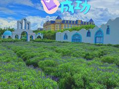 -百万葵园