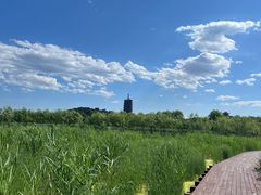 -永定河休闲森林公园