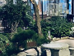 -蘇河湾·新鲁菜·泰山宴(泰山店)