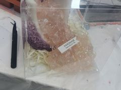 -郑在DIY·潮玩银饰绘画手作(中央大道旗舰店)
