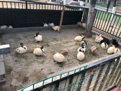 -蓝可可亲子乐园(北苑店)