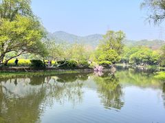 -八卦田遗址公园
