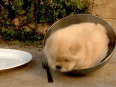 -自由港量贩KTV(西苑路店)