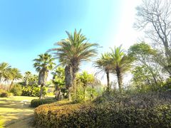 -瑶湖郊野森林公园