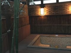 -春晖园度假酒店温泉