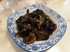 凉拌小木耳-川悦壹号·川菜(蠡溪路店)