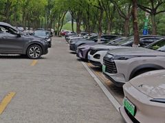 -天乐农家鱼头王(天目湖店)