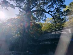 -青岛崂山太清宫