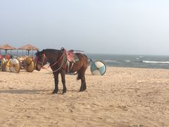 -碣石国家级海洋公园