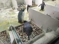 -大连圣亚海洋世界