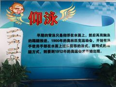 -宏雁游泳馆