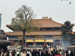 -大慈恩寺(大雁塔)