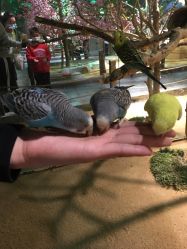 -酷嗒动物文化乐园(cutezoo西溪乐天城店)