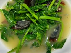 上汤豆苗-金米箩大酒店(五角场店)