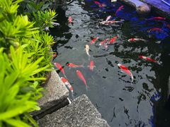 -顺德了能馆(虎门店)