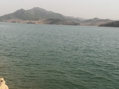 -望湖烤鱼