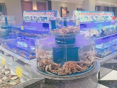 -新海渔港·胶东海鲜家常菜·家宴(奥体中心店)