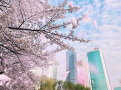 -西北湖绿化广场