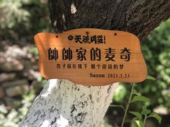 -天毓山庄·餐厅
