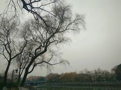 -杭州城北体育公园