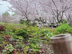 -白塘生态植物园