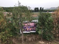 -北京东方普罗旺斯薰衣草庄园