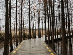 -云龙湖旅游景区