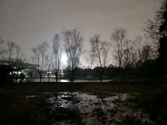 -玄武苏宁诺富特酒店·紫金轩中餐厅