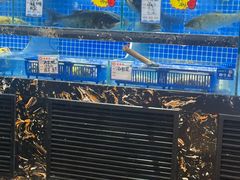 -昱德来·天津菜·渤海湾小海鲜(华夏店)